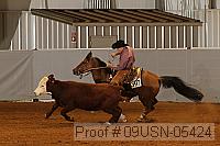 09usn-05424 proof
