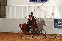 09usn-05264 proof
