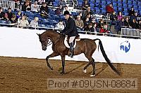 09usn-08684 proof