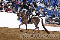 09usn-08686 proof