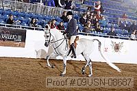 09usn-08687 proof