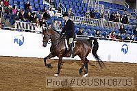 09usn-08703 proof