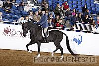 09usn-08713 proof