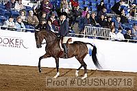 09usn-08718 proof