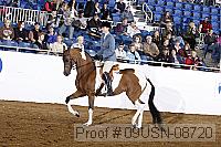 09usn-08720 proof
