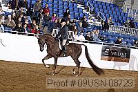 09usn-08729 proof