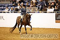 09usn-08732 proof