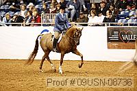 09usn-08736 proof