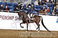 09usn-08756 proof