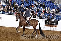 09usn-08803 proof