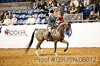 09usn-08812 proof