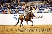 09usn-08813 proof