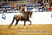 09usn-08816 proof
