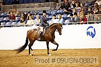 09usn-08821 proof