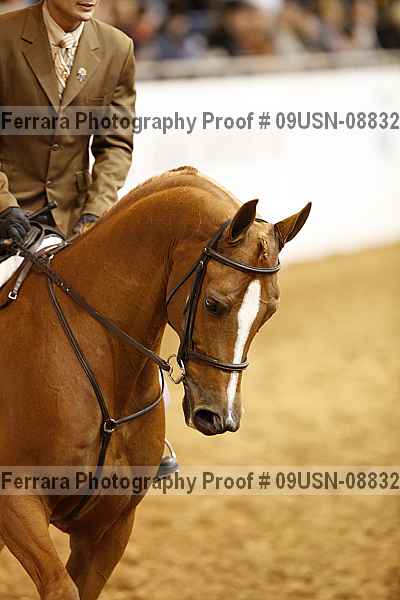 Proof 09usn-08832