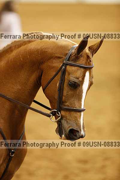 Proof 09usn-08833