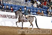 09usn-08834 proof
