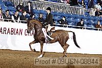 09usn-08844 proof