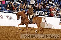 09usn-16202 proof