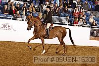 09usn-16208 proof
