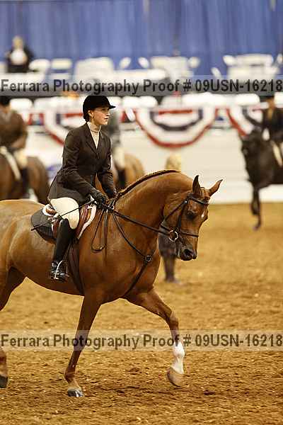 Proof 09usn-16218