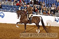 09usn-16237 proof
