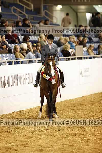 Proof 09usn-16255