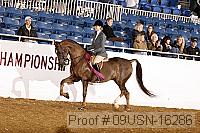 09usn-16286 proof