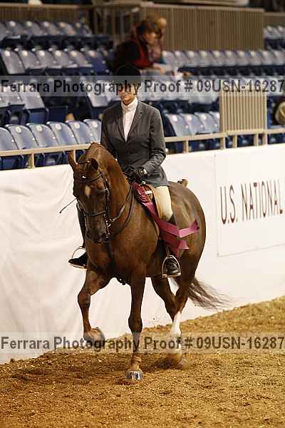 Proof 09usn-16287