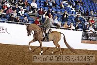 09usn-12487 proof