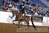 09usn-12512 proof