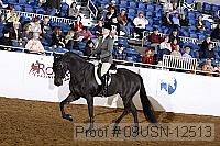 09usn-12513 proof
