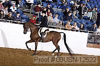 09usn-12522 proof