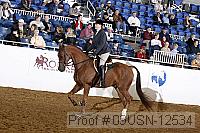 09usn-12534 proof