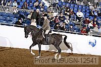09usn-12541 proof