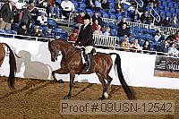 09usn-12542 proof
