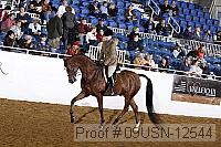 09usn-12544 proof