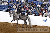 09usn-12546 proof
