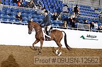 09usn-12562 proof