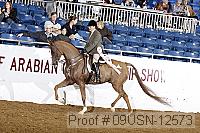 09usn-12573 proof