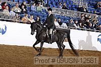 09usn-12581 proof