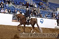 09usn-12585 proof