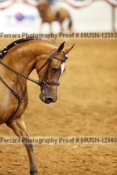 Proof 09usn-12593