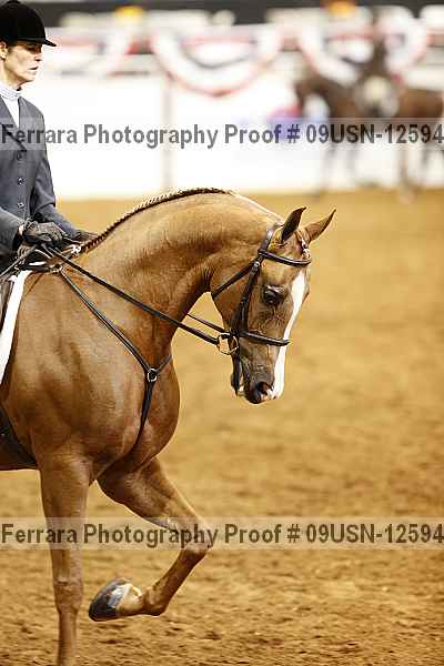 Proof 09usn-12594