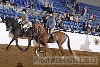 09usn-12613 proof