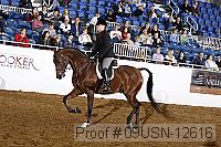 09usn-12616 proof