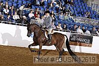 09usn-12619 proof