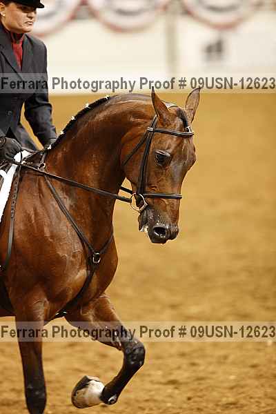 Proof 09usn-12623