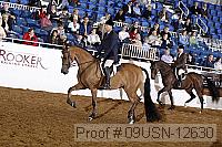 09usn-12630 proof
