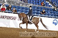 09usn-12633 proof